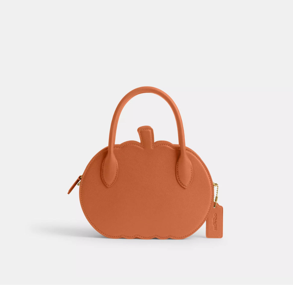 NWT Coach Pumpkin Bag In Leather
