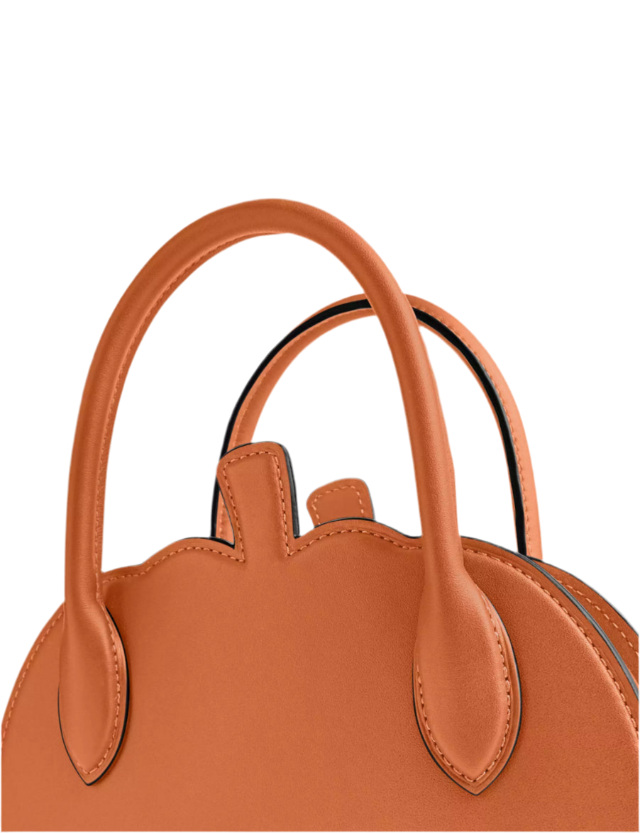 NWT Coach Pumpkin Bag In Leather