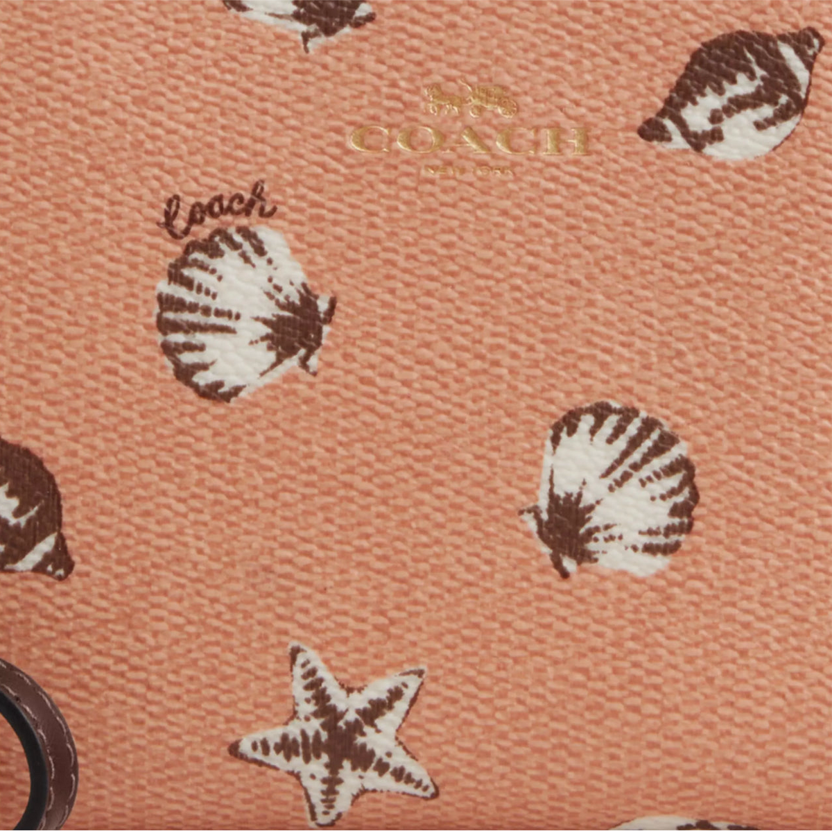 NWT Coach Corner Zip Wristlet With Shell Print