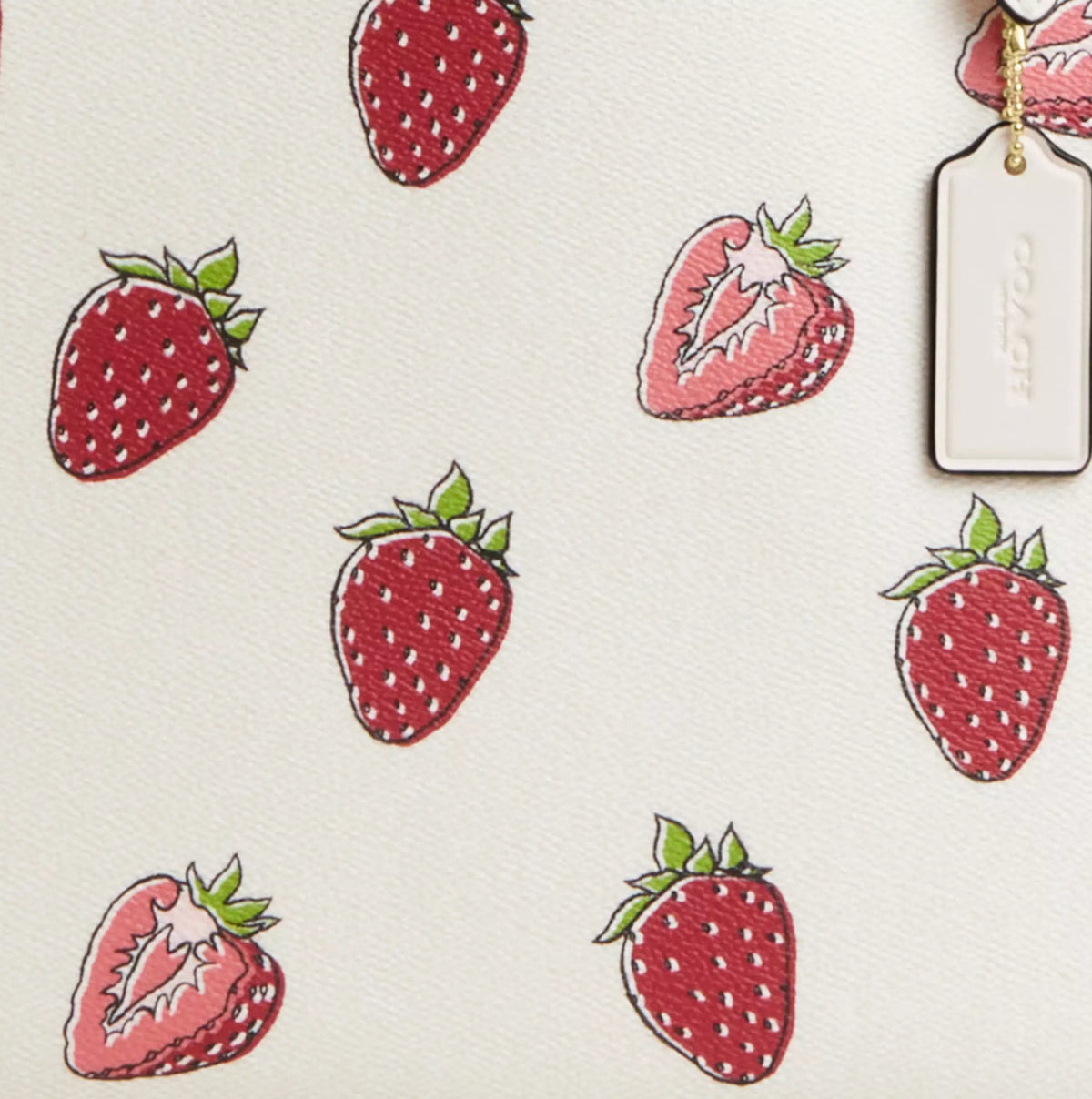 NWT Coach Large Mollie Tote Bag With Strawberry Print