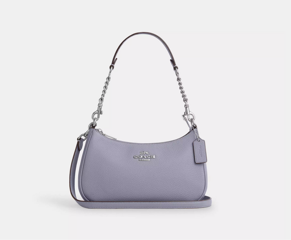 NWT Coach Leather Teri Shoulder Bag In Silver/Mist