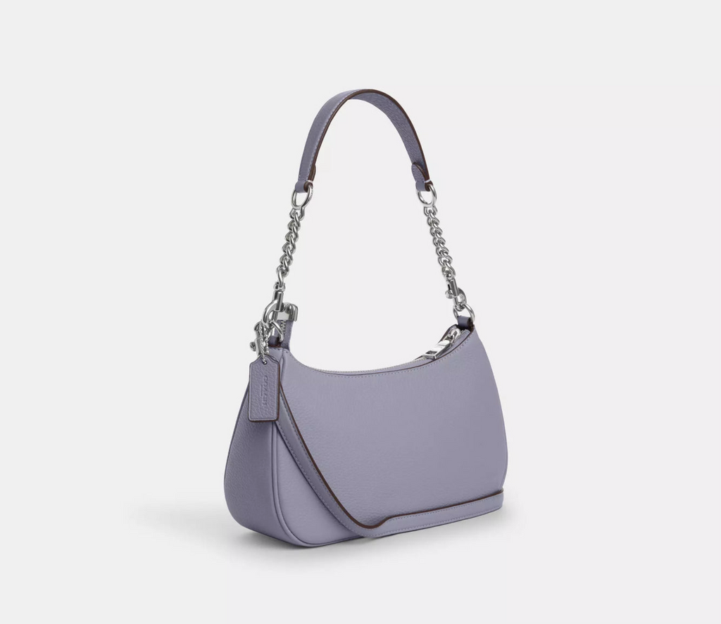 NWT Coach Leather Teri Shoulder Bag In Silver/Mist